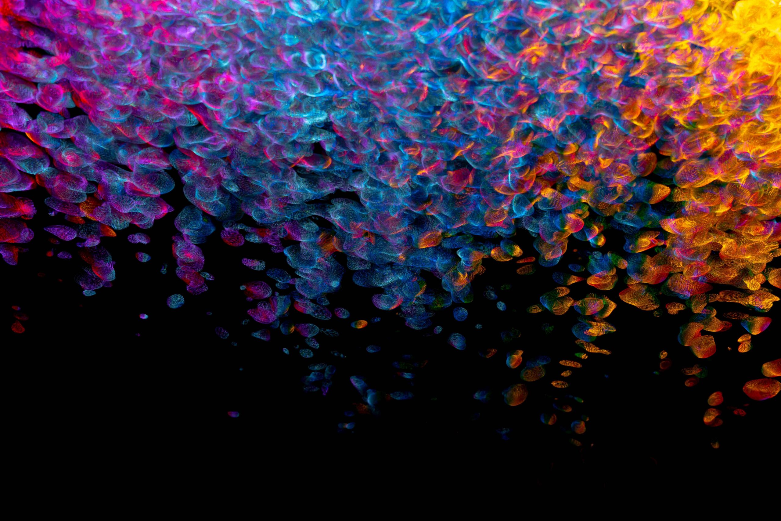 pexels-sergey-katyshkin-10874575